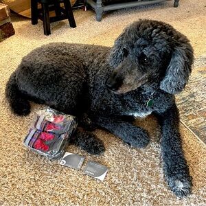 Dog Boots/Shoes NWT